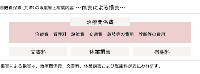 自賠責保険（共済）の限度額と補償内容　～障害による損害～
